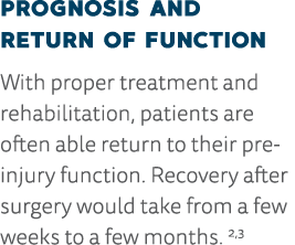Prognosis and Return of Function With proper treatment and rehabilitation, patients are often able return to their pr   