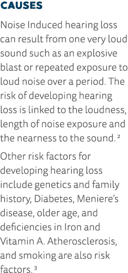 Causes Noise Induced hearing loss can result from one very loud sound such as an explosive blast or repeated exposure   